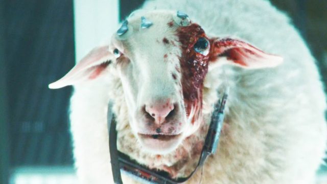 Season 2 Footage Unveiled for Underrated Sci-Fi Series in 2025