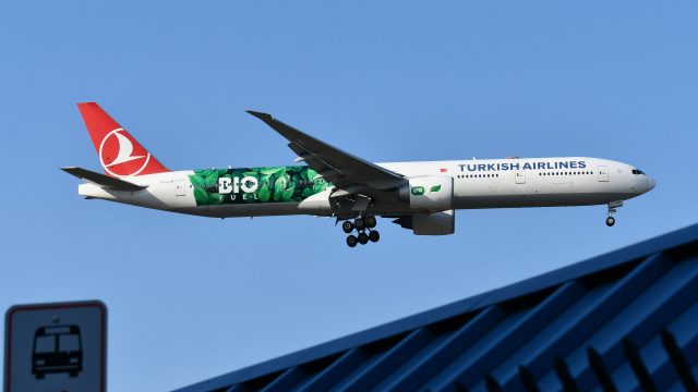 Maximize Your Miles: Turkish Airlines' Limited Offer Expires Soon