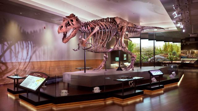Unlock Your Cultural Pass: Bank of America Cardholders Enjoy Free Museum Access